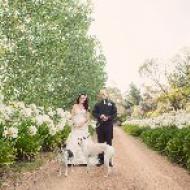 Jye and Sara, February 2015, Hobart, Tasmania, Cairns Civil Marriage Celebrant, Melanie Serafin